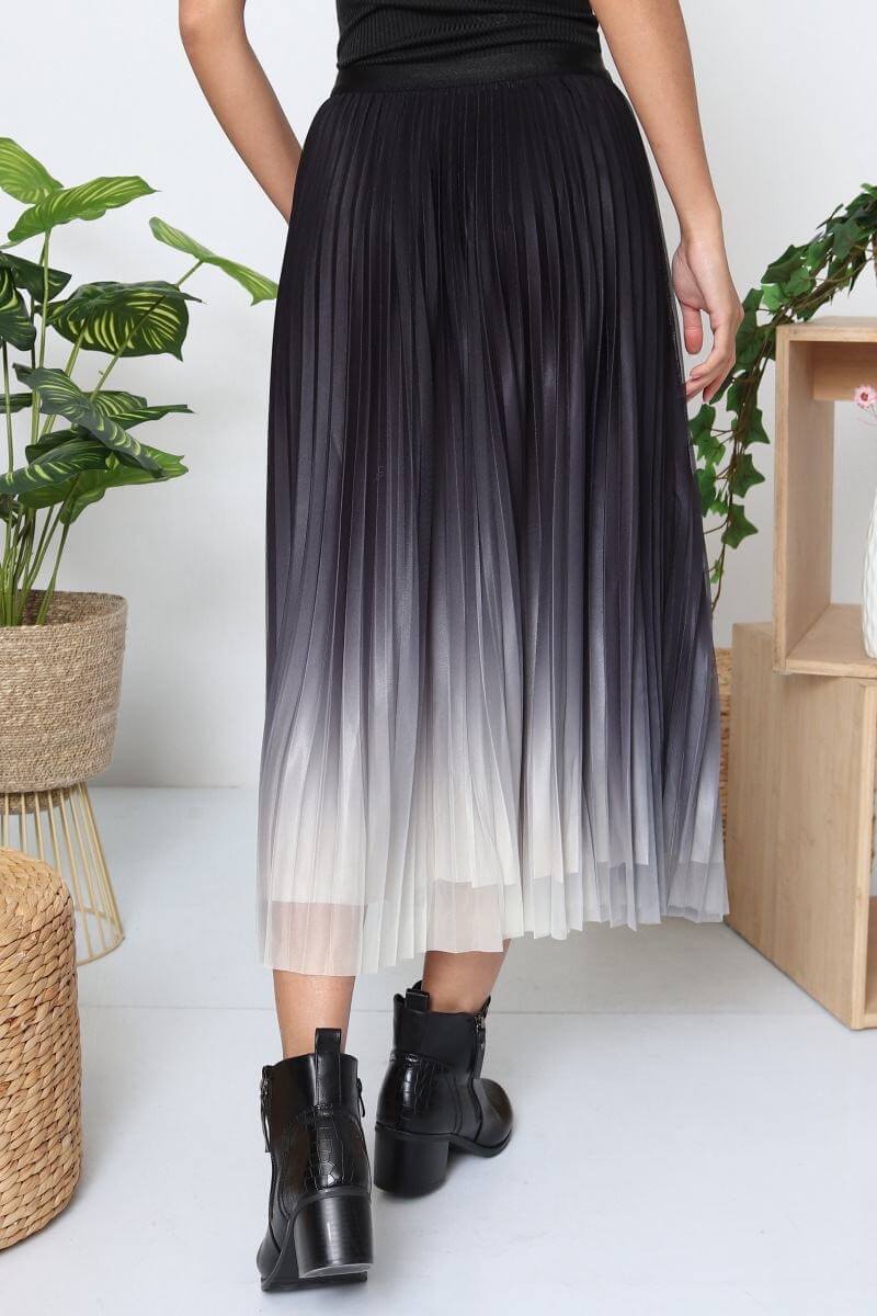 Jupe longue plissée longue femme dégradé taille unique - Cléa
